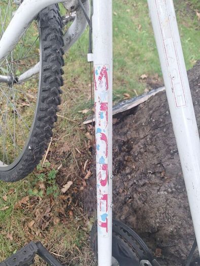 Ladies/girls bike
