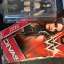 WWE Divas Paige Image 3