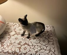 Beswick Siamese cat