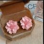 earings Image 3