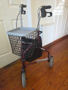 Invacare Delta Tri-Wheel Walker (Rollator)