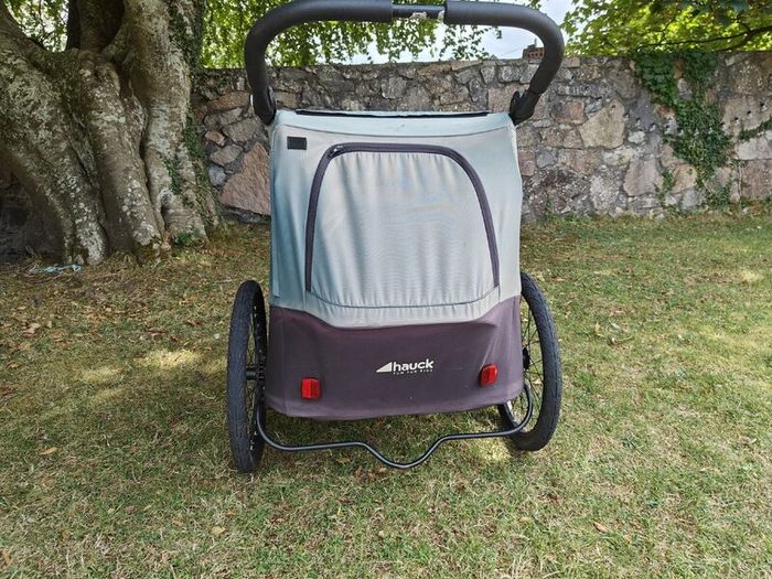 Hauck City buggy