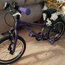 Carrera cosmos 16 bike Image 6