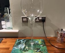 giant wine glass