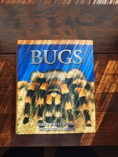 Visual Factfinder:Bugs 2008