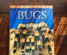 Visual Factfinder:Bugs 2008
