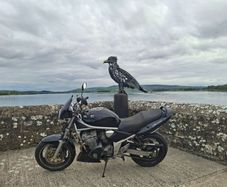 Suzuki Bandit 2002