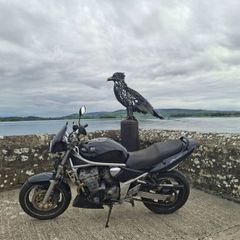 Suzuki Bandit 2002