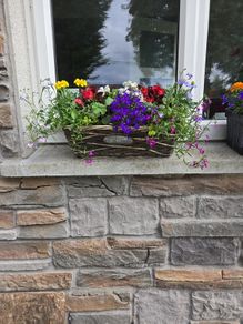 Wicker windows box