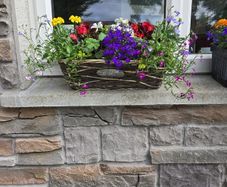 Wicker windows box