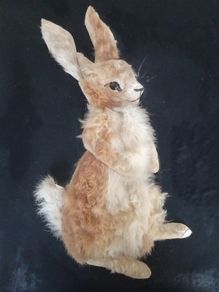 Large Large Bunny picture