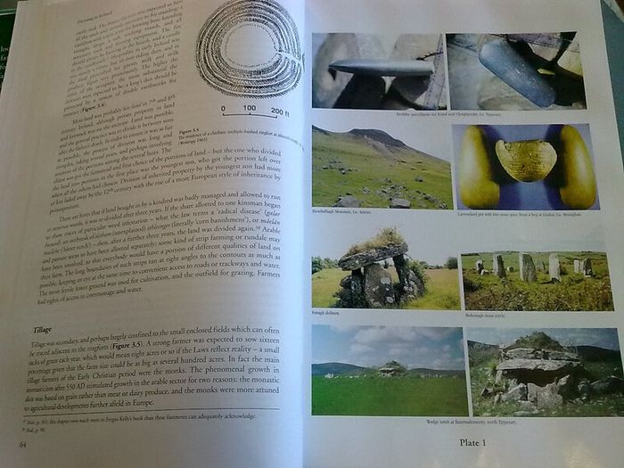Farming in Ireland History Heritage and Environment by John Feehan Irish history