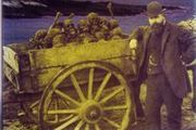 A History Of The Old Head Of Kinsale And Surrounding Area - Their Bones Are Scattered