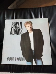 Bryan Adams You want it you got it lp