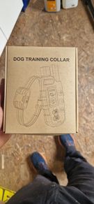 Training collar with remote control