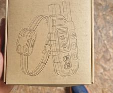 Training collar with remote control