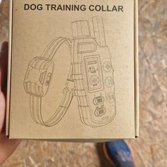 Training collar with remote control