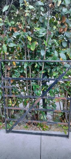 Gate