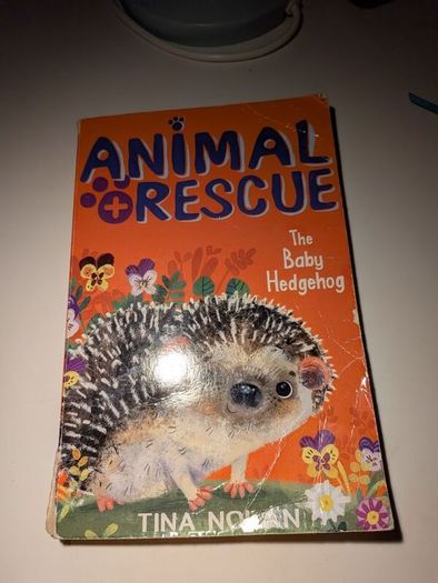 Kids fiction books 6+