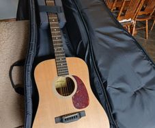 Eastman E1D