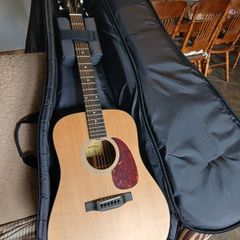 Eastman E1D
