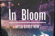 In Bloom: Irish Bands Now, Jenny Huston (2009)