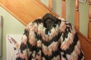 fab faux fur River Island jacket