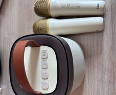 Portable karaoke machine