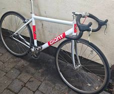 Giant Fixie Medium