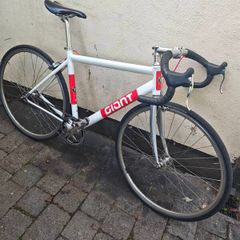 Giant Fixie Medium
