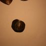 Ancient  Byzantine Coins Image 6