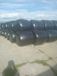 silage bales