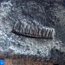 Planishing Hammer Image 5