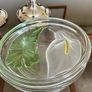 Vintage Calla Lily Oval Glass Lidded Dish Keepsake Box France Image 7