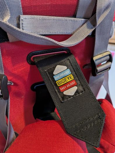Toddler Carrier/Rucksack