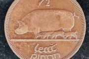 Ireland 1928 half penny coin