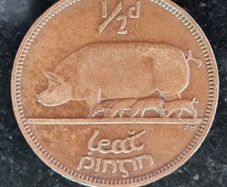 Ireland 1928 half penny coin