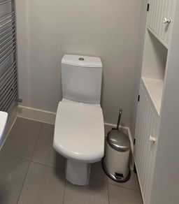 toilet