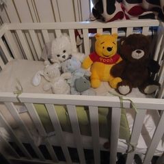 cot mamas & papas