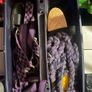 Equestrian Bundle Image 4