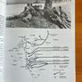 War book:'Grossdeutschland. Guderian's Eastern Front Elite' Image 4
