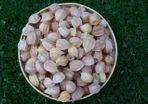 Physalis Seeds