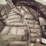Canada goose Image 2