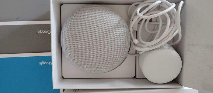 Google Nest Mini Working perfectly