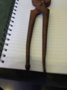 Vintage Iron Snips