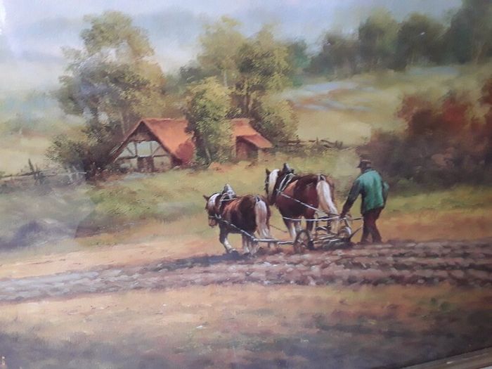 large picture