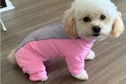Dog Coat Waterproof, Warm Jacket, Fleece Lined, Four Legs for Dog Cat, Pink