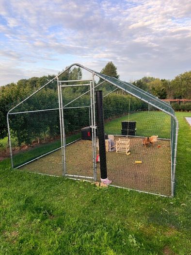 Chicken coop with two hens