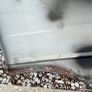 Volkswagon Transporter T4 - Set of Original Wings Image 5