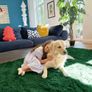 Fluffy Shaggy Rugs Living Room, Large Anti Slip Carpet, Machine Washable Soft Thick Pile Bedside Rug for Kids Bedroom, Nursery - Dark Green, 120 x 160 cm Image 3